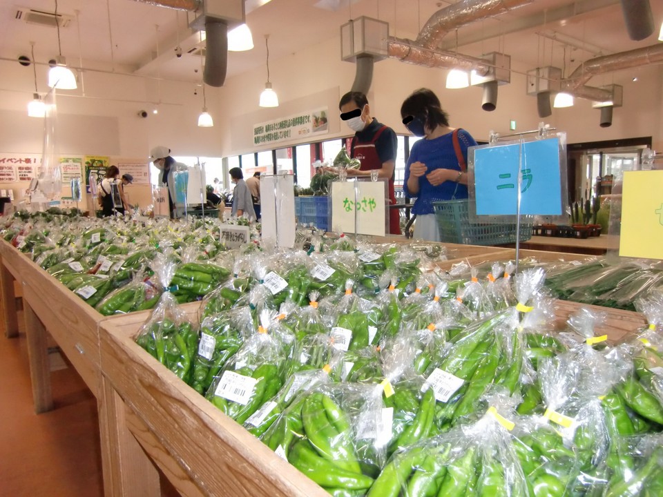 京野菜の万願寺唐辛子