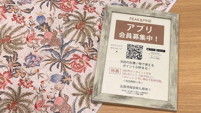 Peak Pine 福岡パルコ店 天神 水着 Pathee パシー