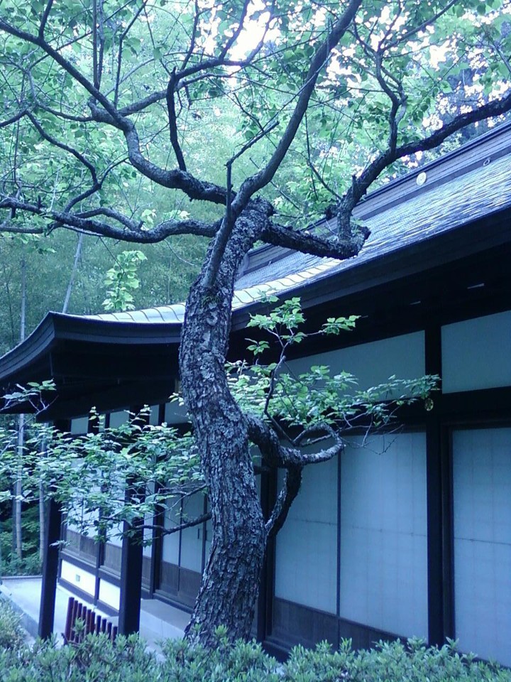 茶室がありました。