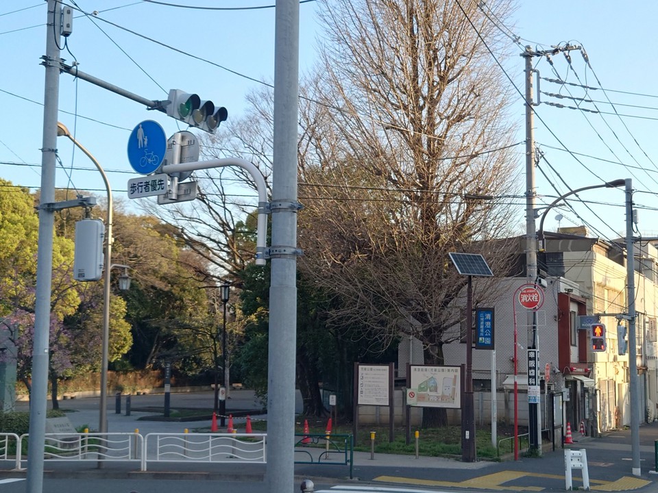 清澄公園