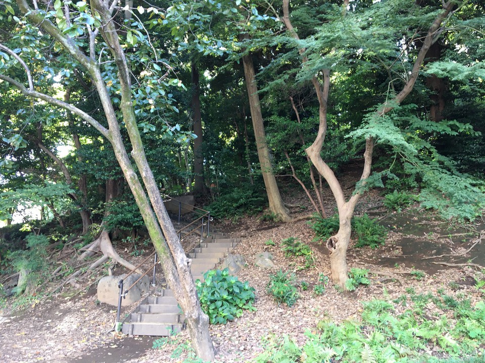 自然