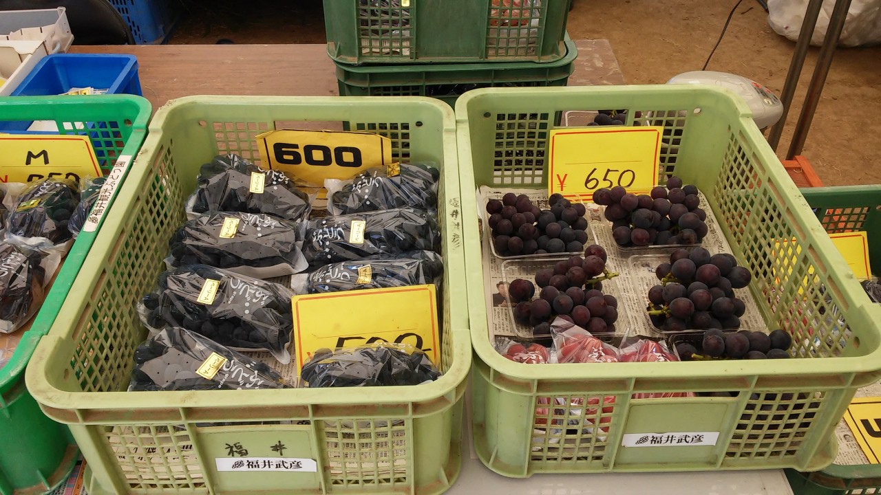形、サイズのより値段が違います