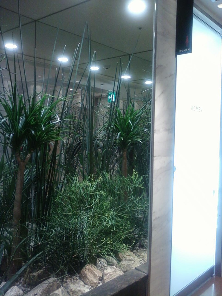 トイレすぐ脇です。