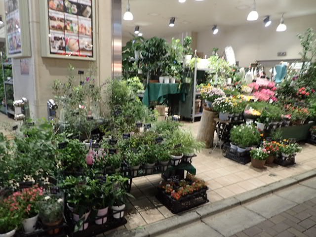 1Fにある園芸店