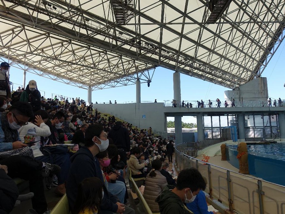 イルカのショーが始まる頃には満席になってました。