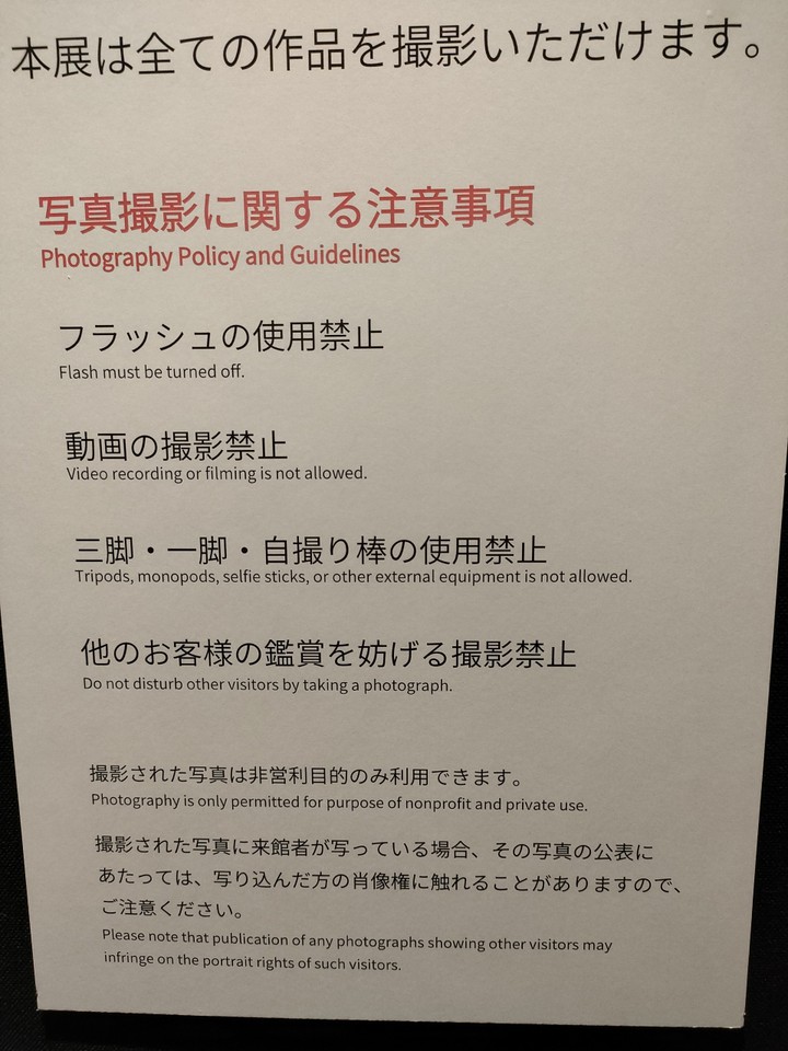 今回は全点撮影可能