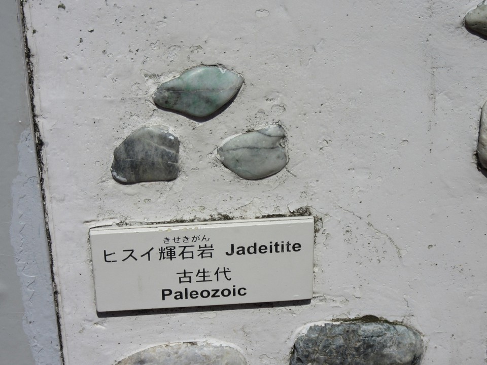 多くの標本も展示