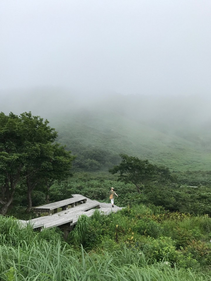 靄のかかった湿原散策は涼しかった。