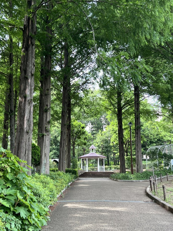公園内
