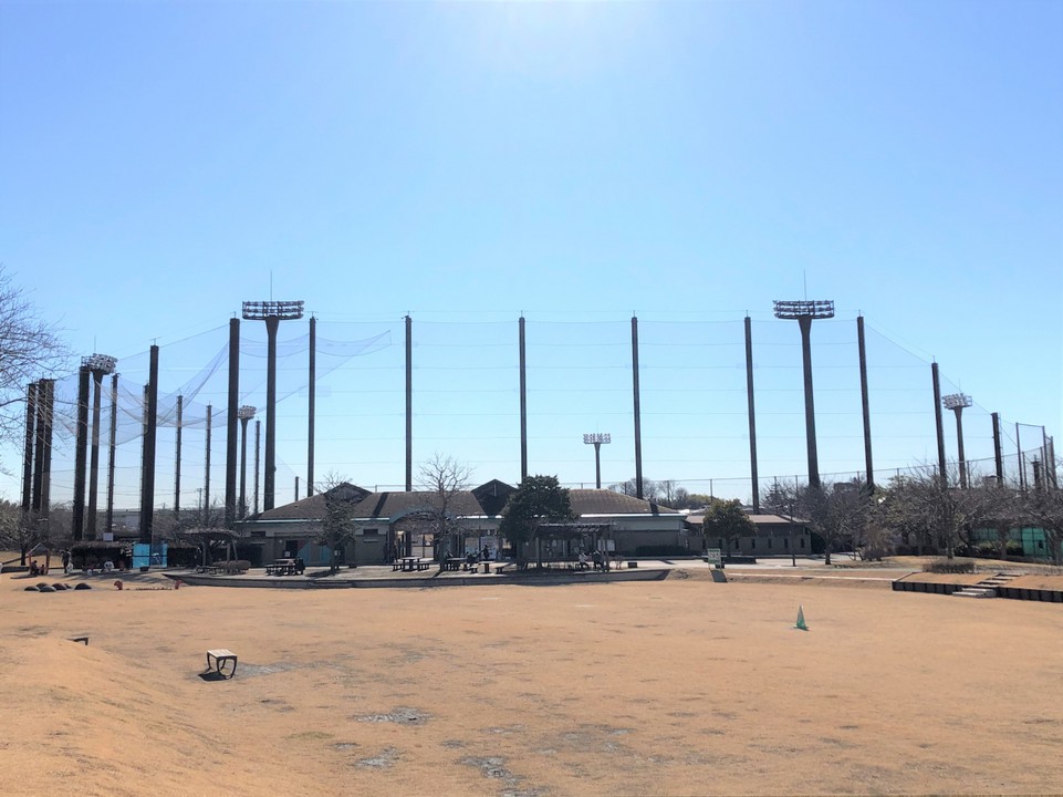 公園の野球場