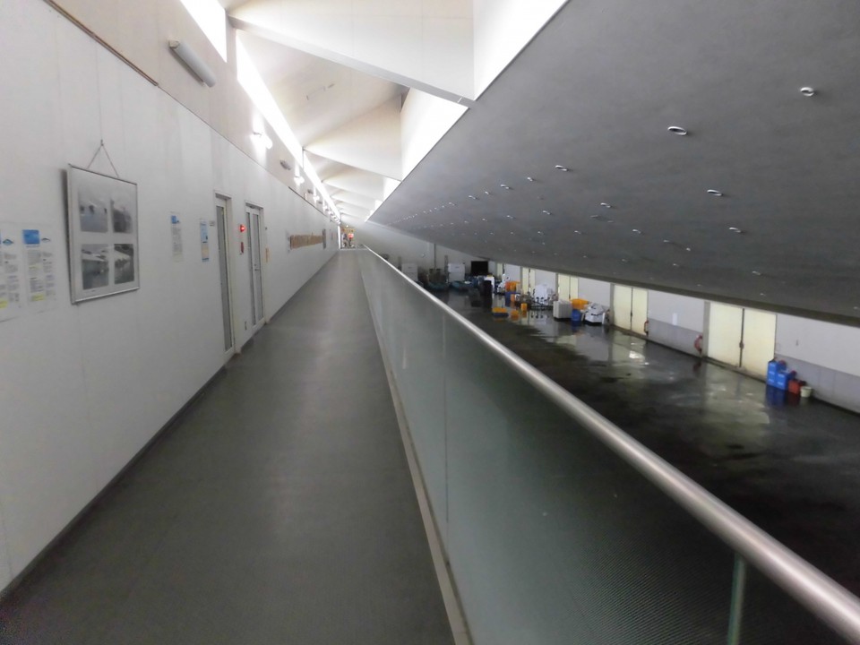 見学用の通路