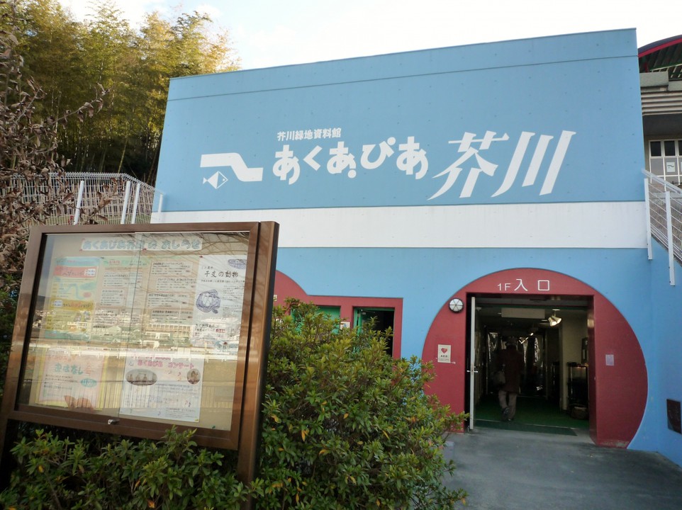 芥川の川沿いの入口