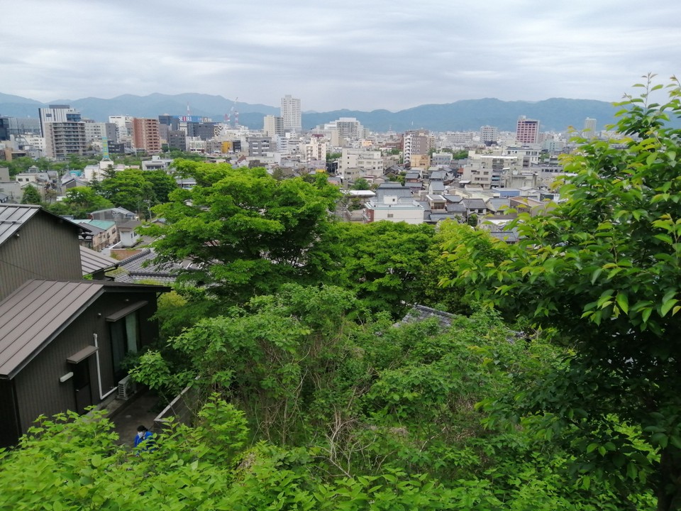 展望台からの景色