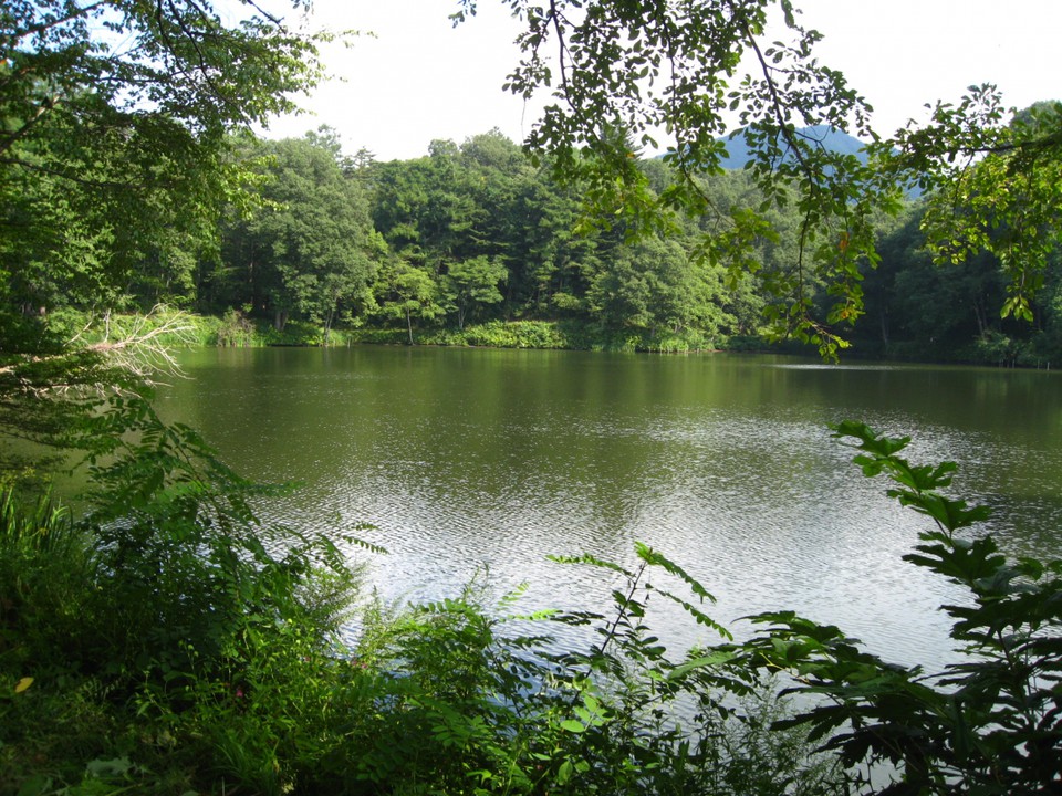 静かで良い雰囲気ですよ。人も少ないし。