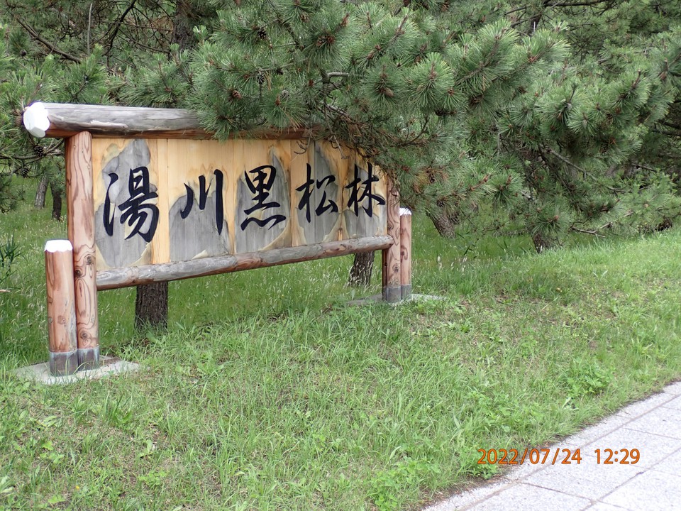 名称表示