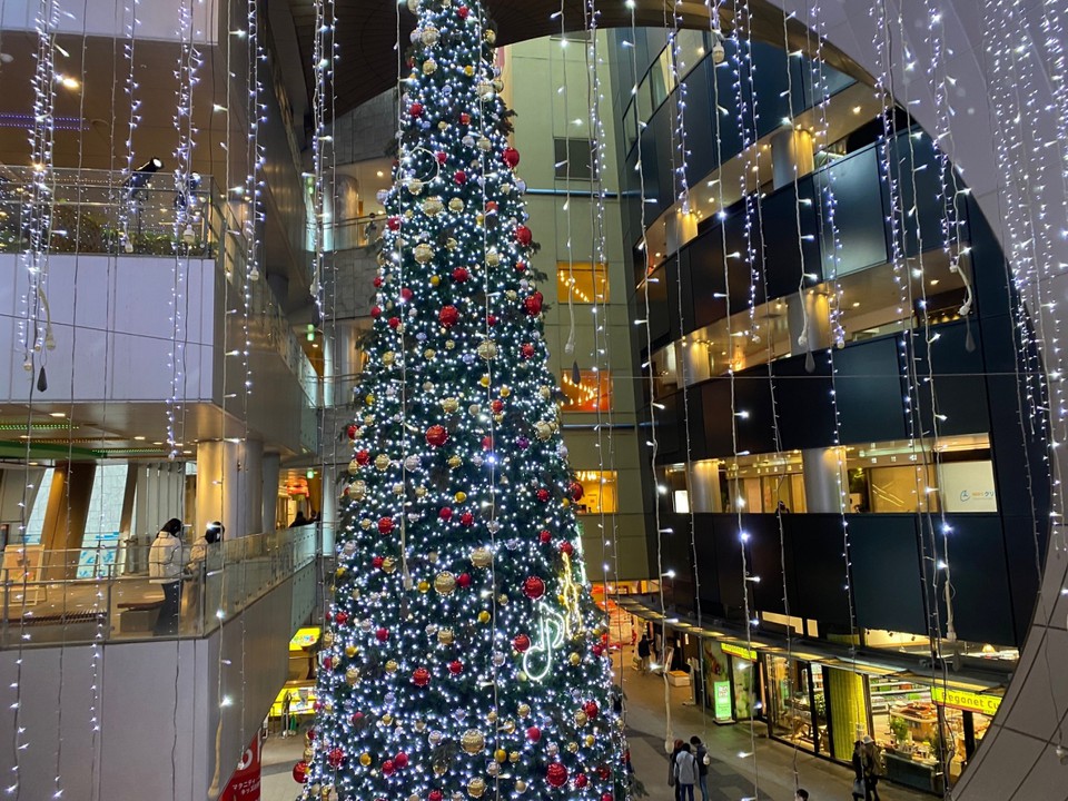 吹き抜けの部分より撮影