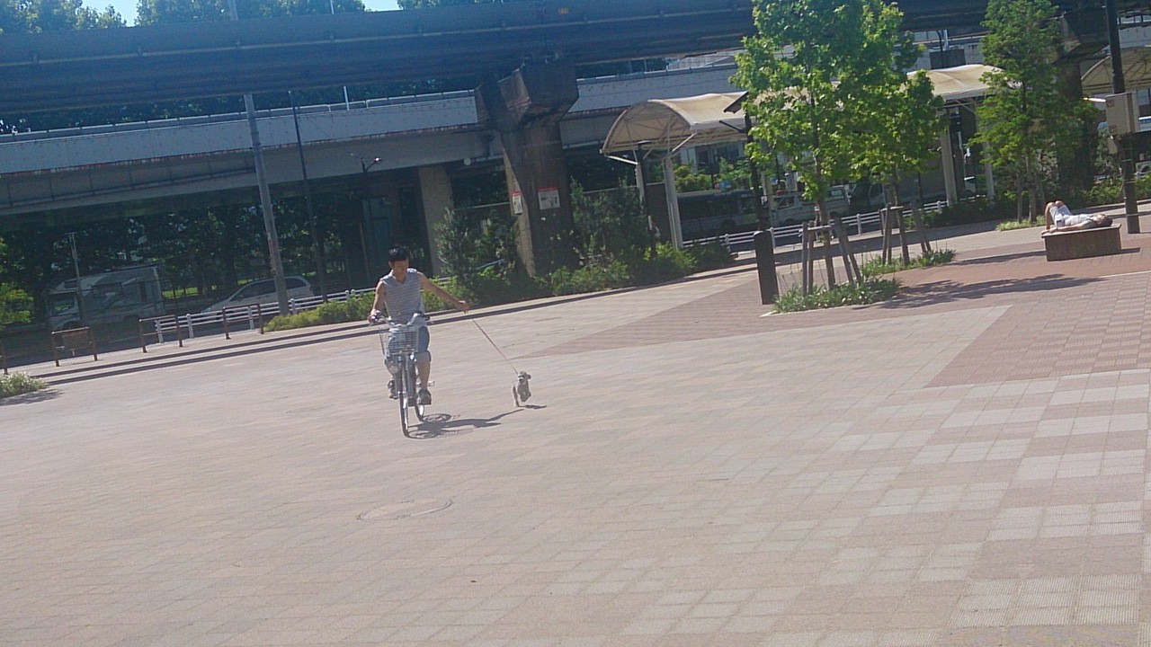 公園