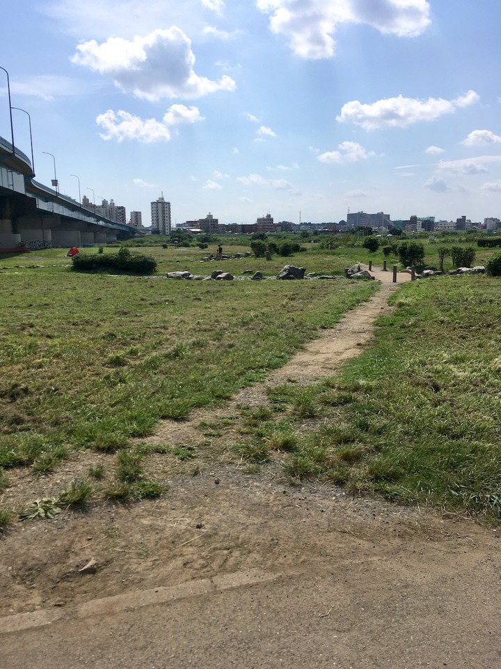 野草の広場と枯れ流れ