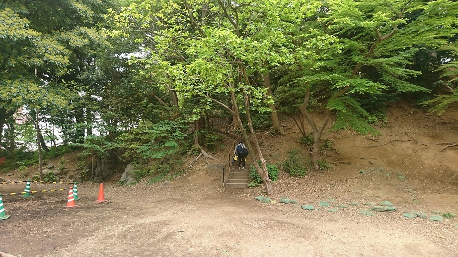 園内に小高い丘があります