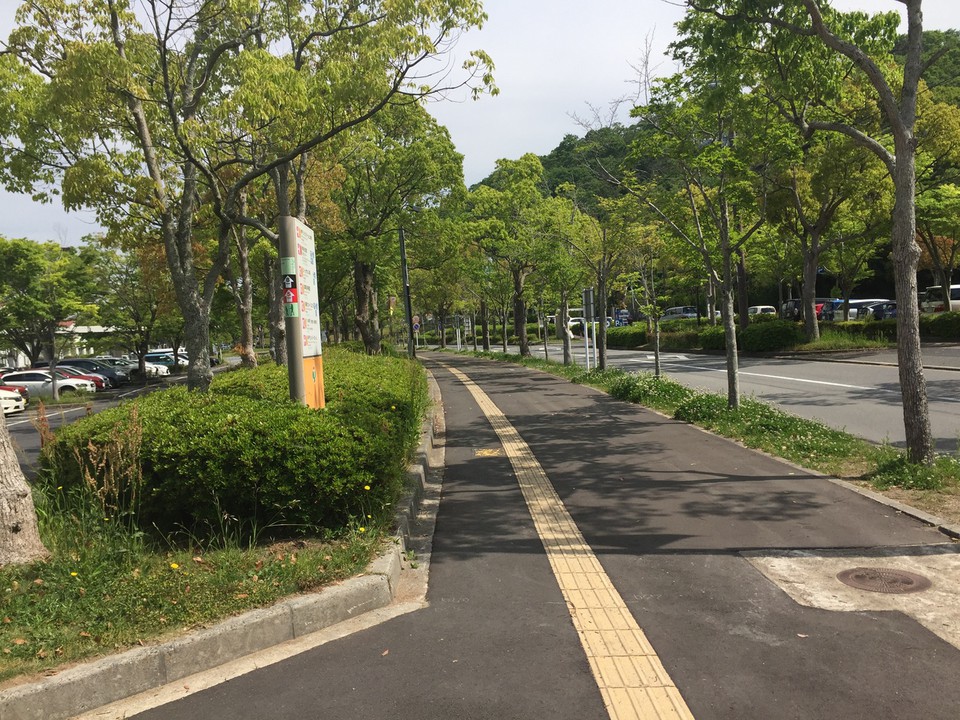 ジョギングやサイクリングには最高