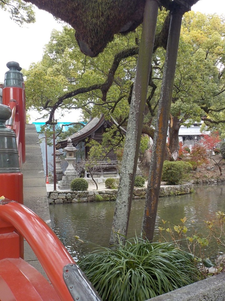 太鼓橋手前から見る今王社