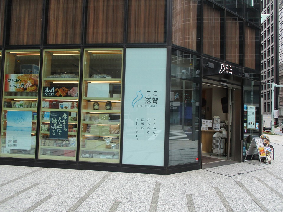 今回初めて