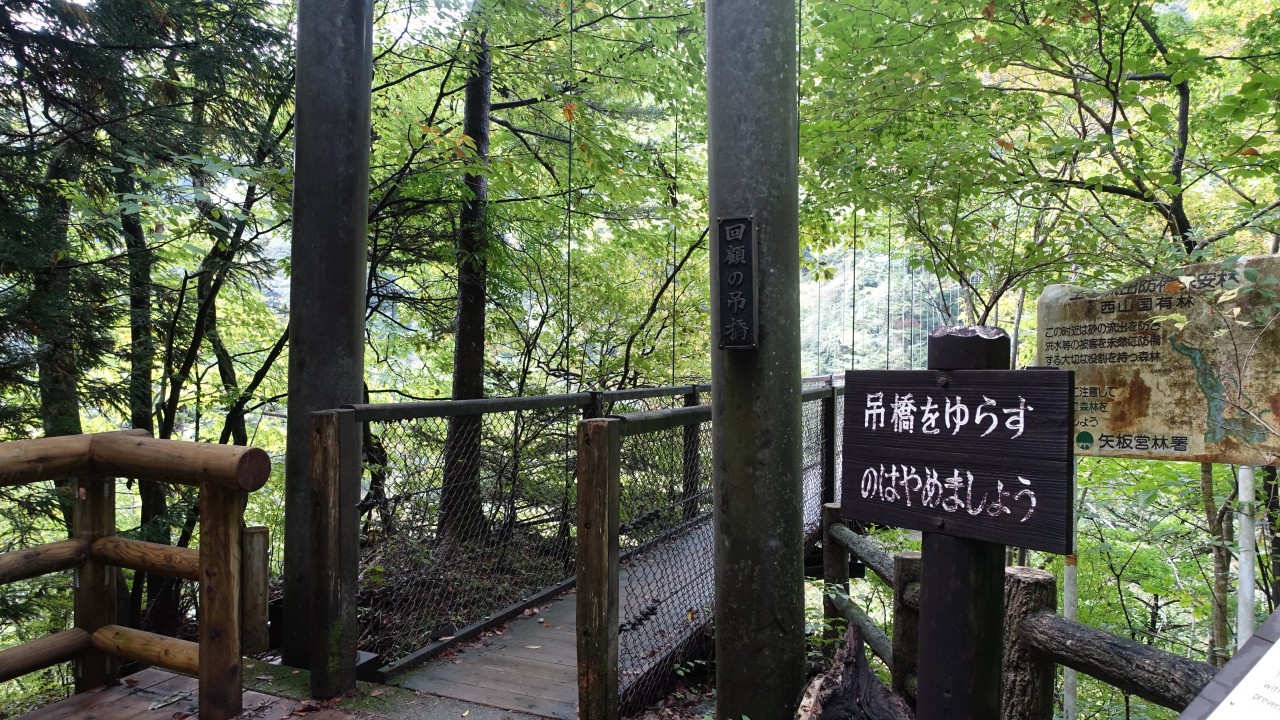 回顧コース
