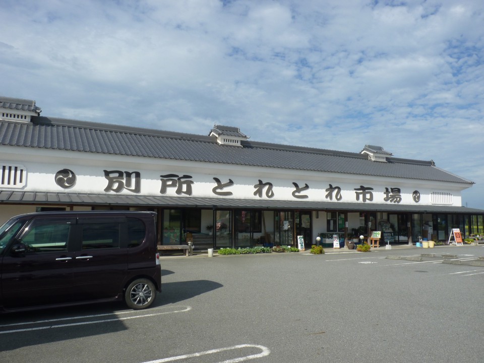 とれとれ市場全景