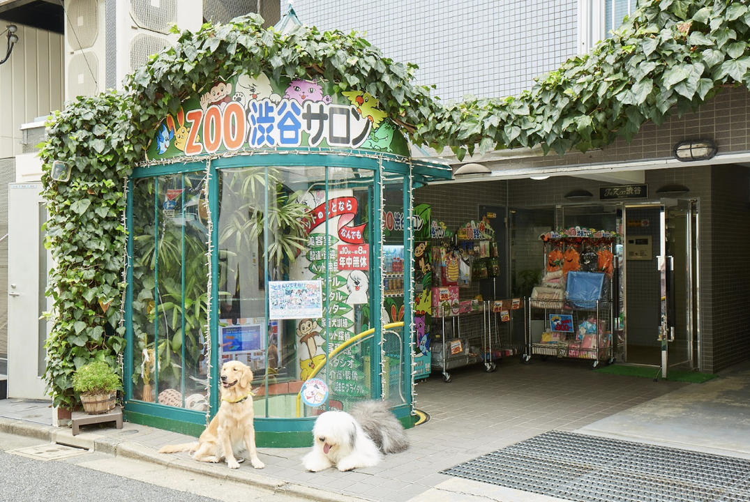 Zoo 渋谷サロン 神泉 ペット用品 Pathee パシー