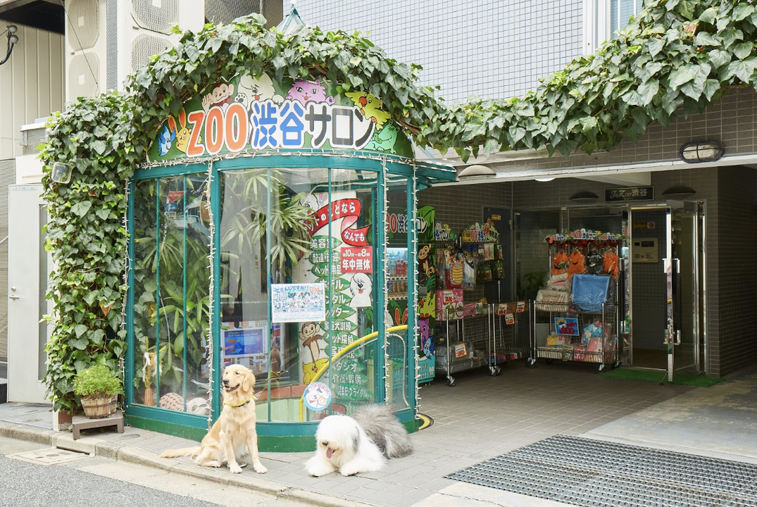 かわいい愛犬のために 中目黒でおすすめのペットショップ Pathee パシー