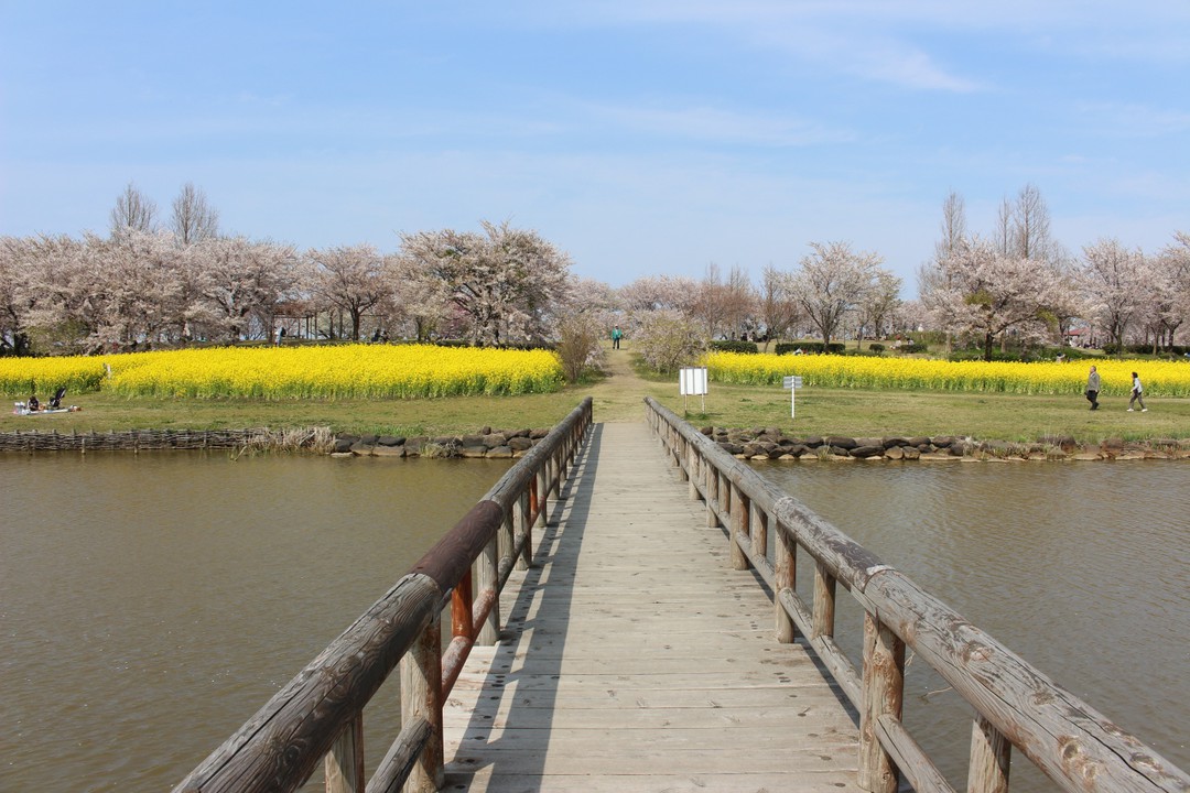 池？もあります