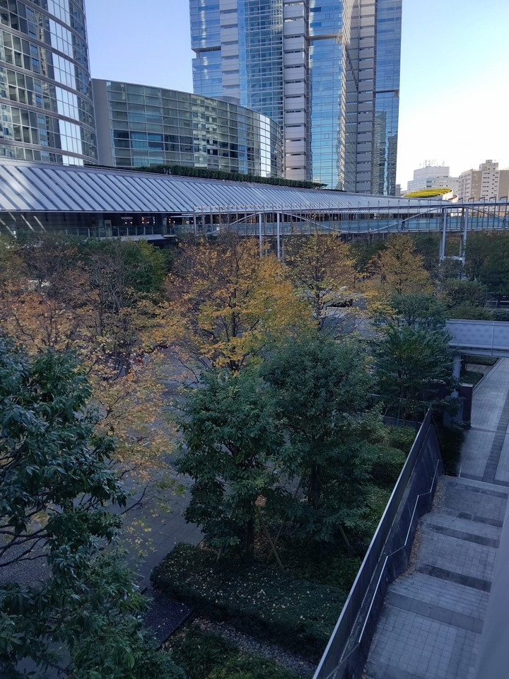 二階から見下ろす汐の公園