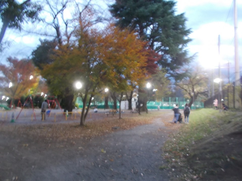 公園の景観です。