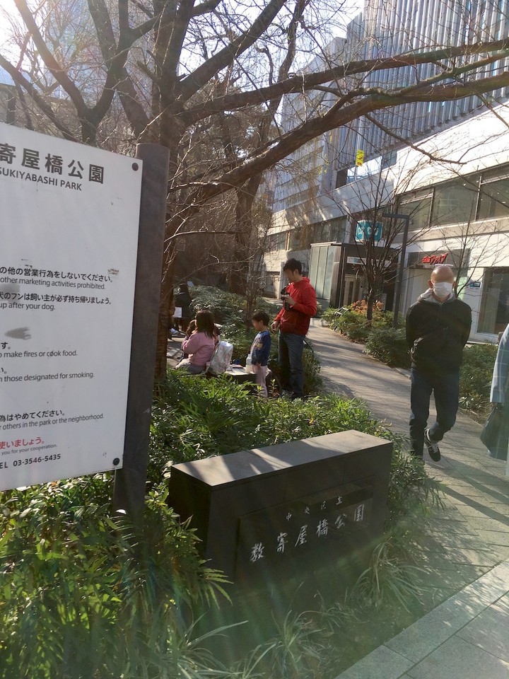 南側の緑地