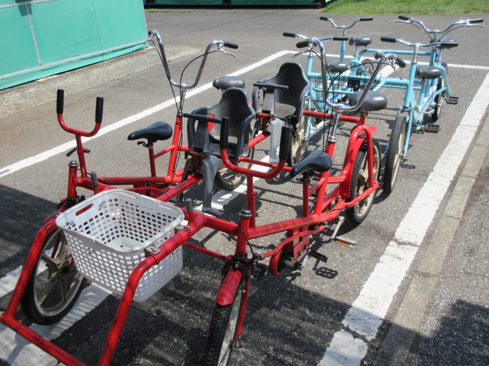 珍しい貸し自転車もある