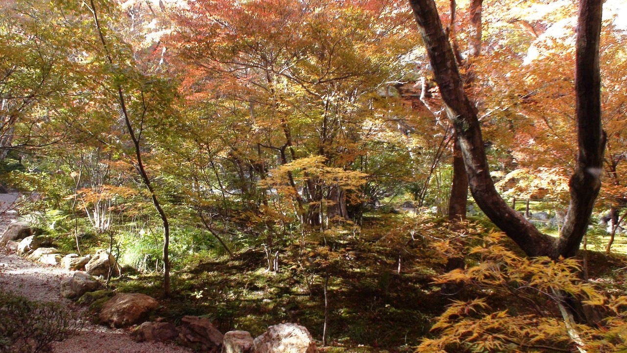 園内のもみじも美しい