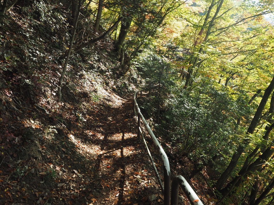 整備された散策路