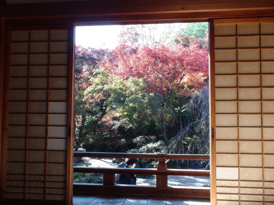 絵になる額紅葉