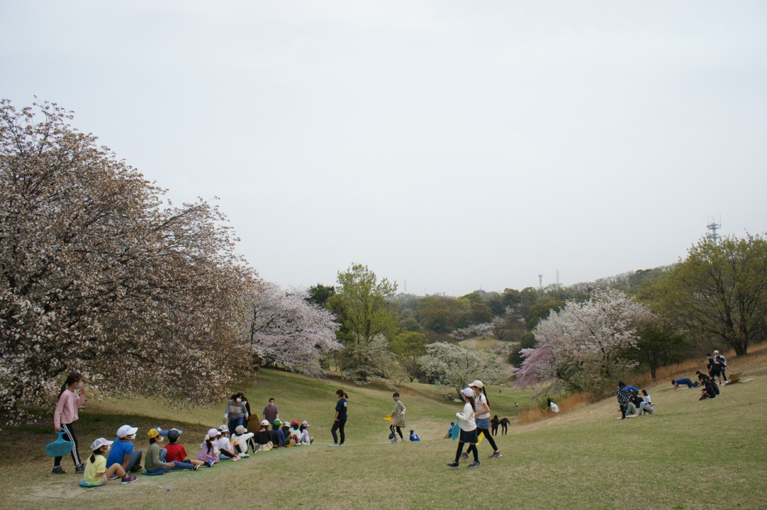 見える範囲はすべて公園敷地内です