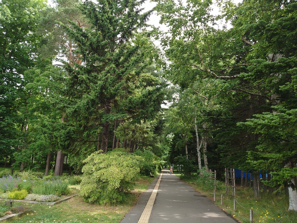 公園というよりは山中を歩く感覚…