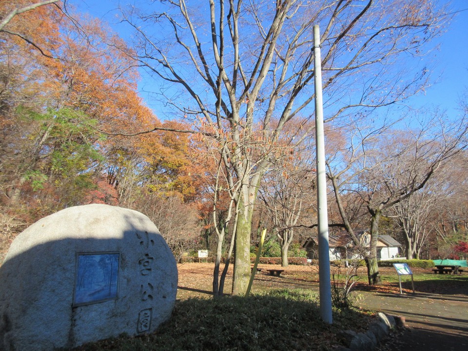 雑木林を散策できる小宮公園