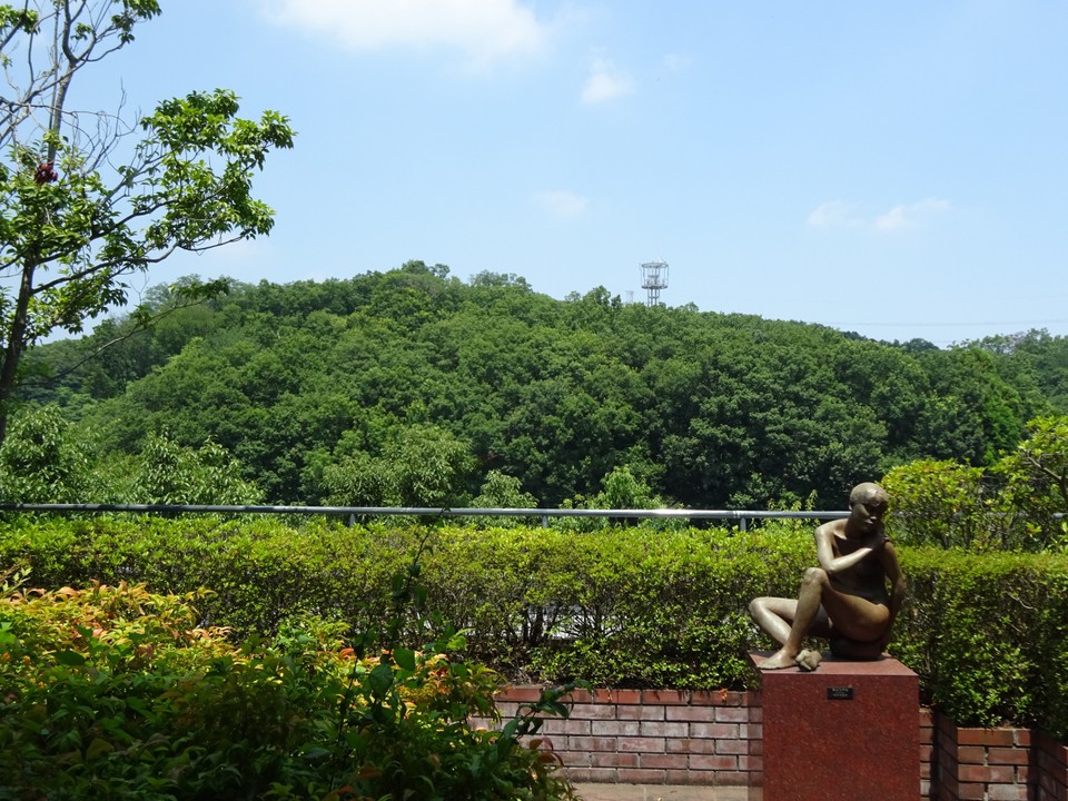 休憩室からの風景