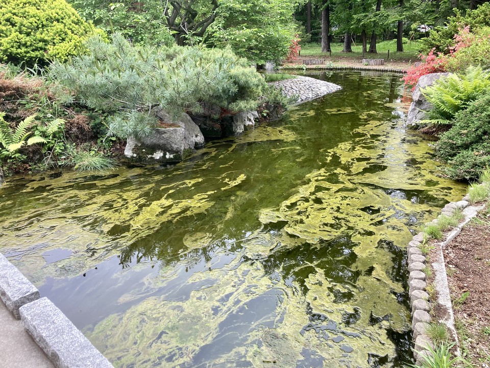 地下鉄駅も近い。中心地から近くてとてもキレイな公園です。