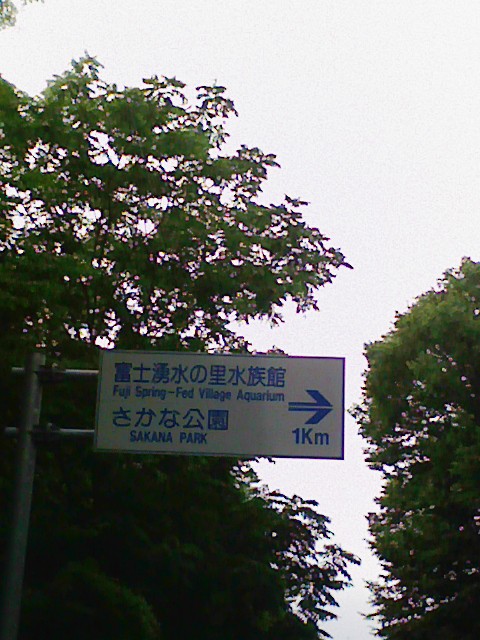 この看板が目印です。