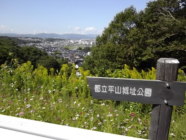 風景