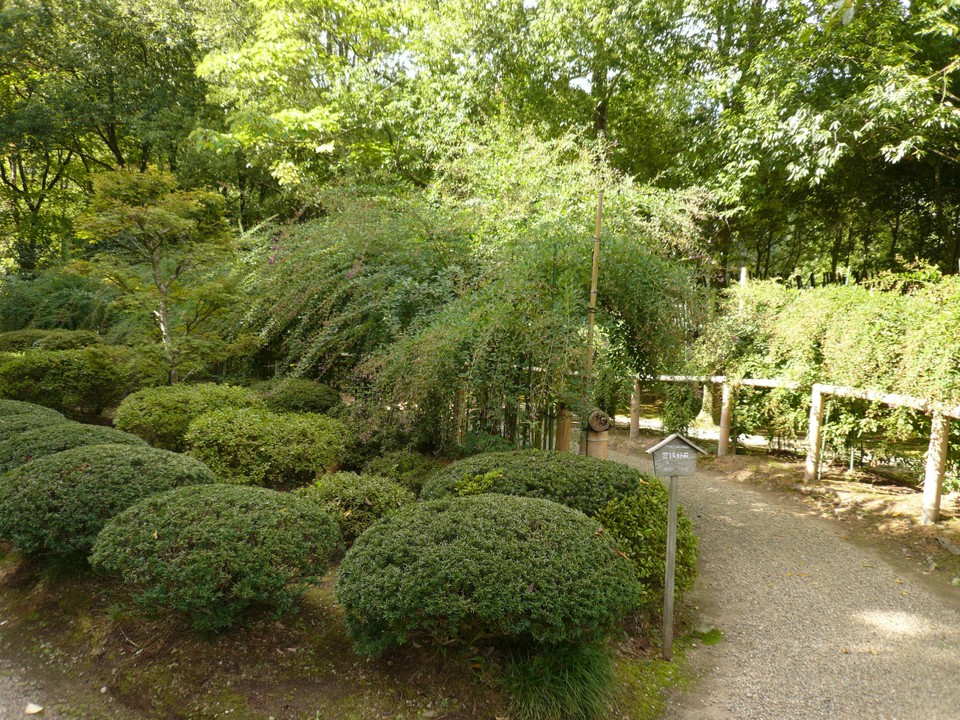 庭