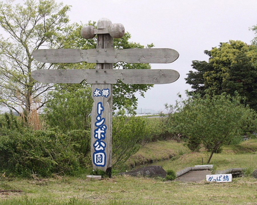 水郷トンボ公園の風景
