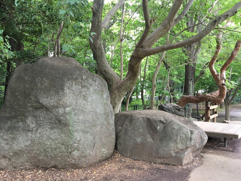 大きな岩