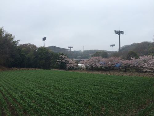 スタジアムが見えてきました。