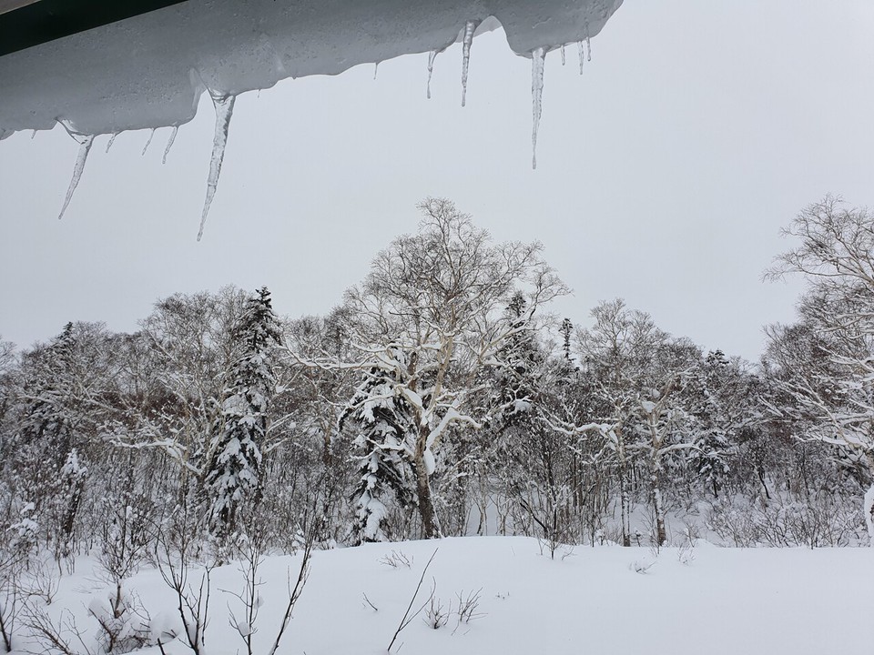 極寒-12度の日の景色